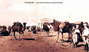 Touggourt - Gare - Convoi de Chameaux